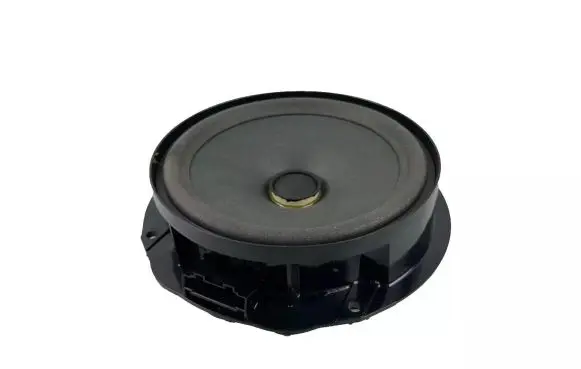 Rear door speaker