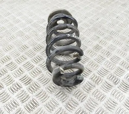 Volkswagen ID.4 Rear coil spring 1EA511103H