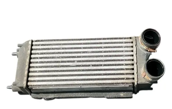 Ford Fiesta Intercooler radiator AV219L440AC