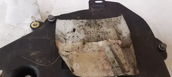 Ford Focus Timing belt guard (cover) 9684193080 9686975480