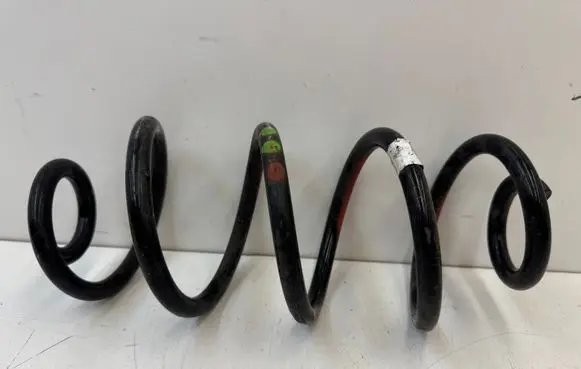 Rear coil spring