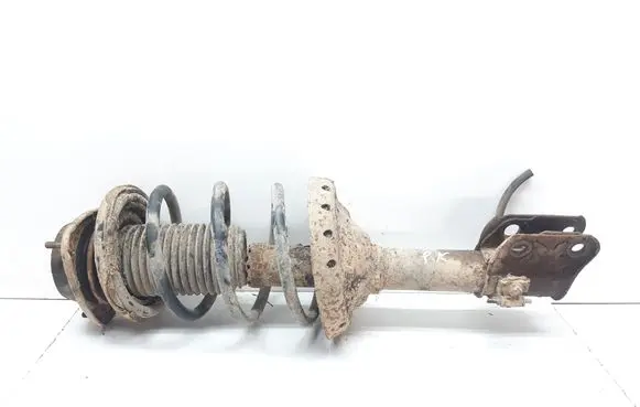 Subaru Forester SG Front shock absorber with coil spring