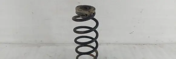 Rear coil spring