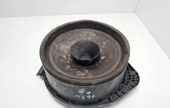 Rear door speaker