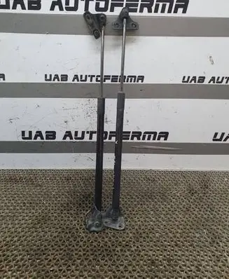 Ford Focus Tailgate/trunk strut/damper BM51N406A10AC