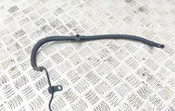 Citroen C6 Brake booster pipe/hose 