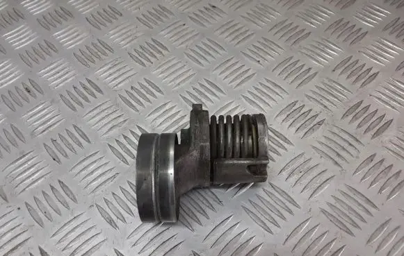 Seat Ibiza III (6L) Alternator belt tensioner pulley 038903315T