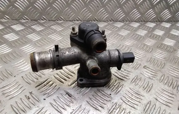 Thermostat/thermostat housing