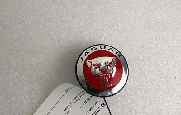 Jaguar E-Pace Original wheel cap 1A096 JGB001