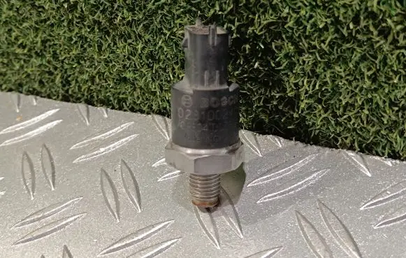 Mercedes-Benz Citan W415 Fuel pressure sensor 0281002405 8804005689