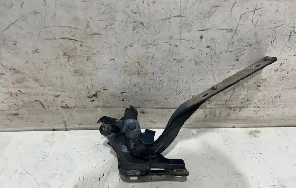 Peugeot 508 Engine bonnet/hood hinges 9676670380G