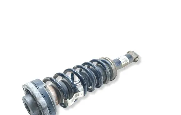 BMW X3 F25 Rear shock absorber with coil spring 6796317 33526796317