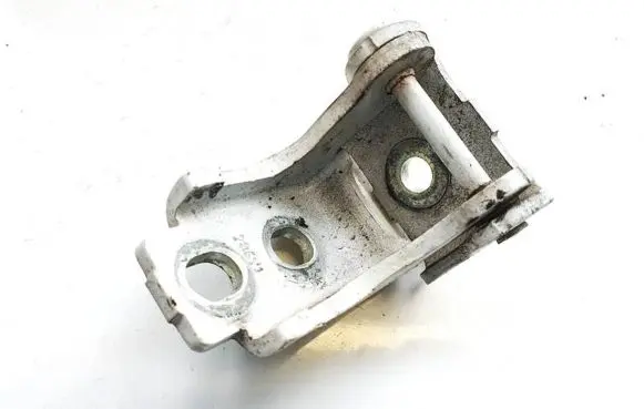 Renault Scenic III - Grand scenic III Rear door lower hinge 804200003rk