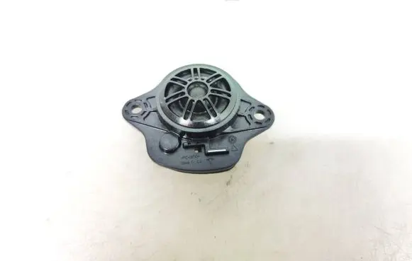 Panel speaker