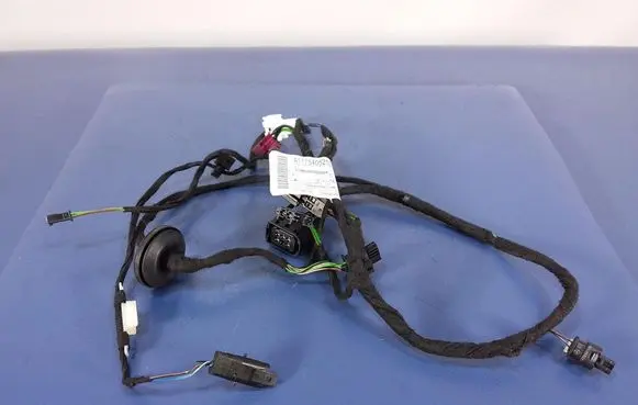 Other wiring loom