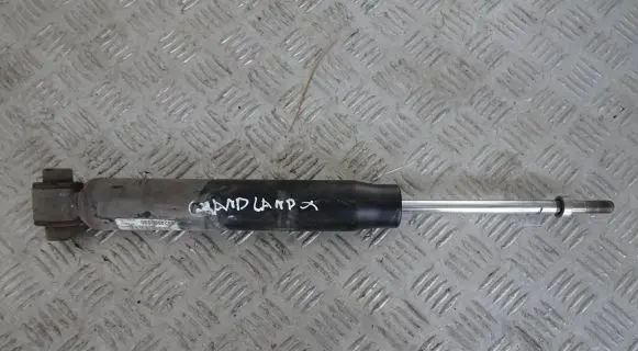 Opel Grandland X Rear shock absorber/damper 9824958980
