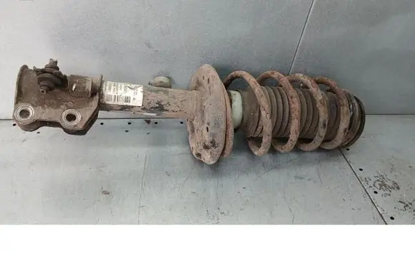 Fiat Punto (199) Front shock absorber/damper 51796541