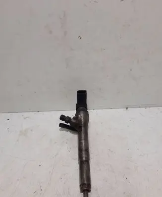 Renault Kangoo II Fuel injector 8200380253 H8200204788