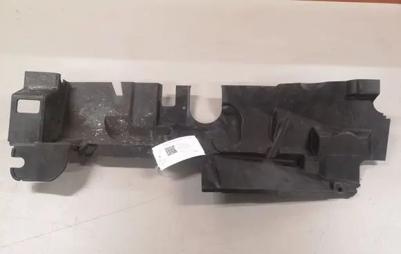 Engine bonnet/hood lock trim molding