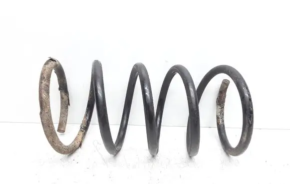 Rear coil spring