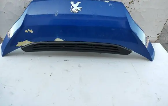 Engine bonnet/hood