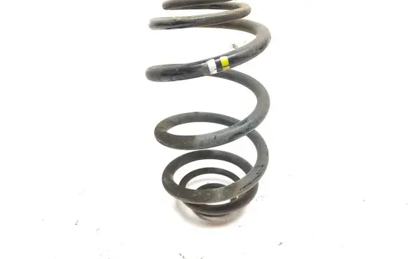 Renault Trafic III (X82) Rear coil spring