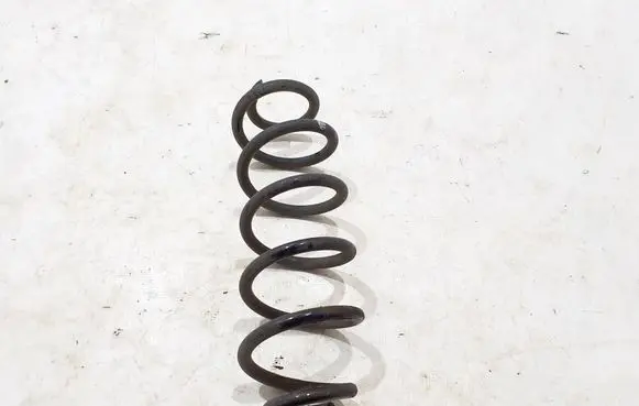 Rear coil spring