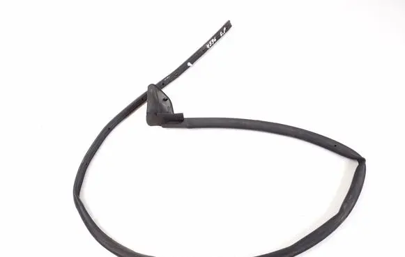 Opel Corsa F Front door rubber seal 9831500980