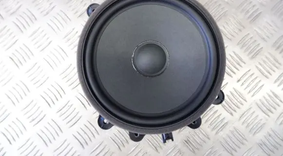 Tesla Model Y Front door speaker 107974400E