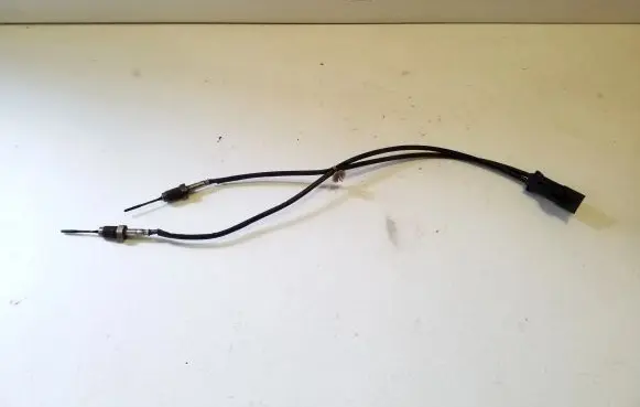 Exhaust gas temperature sensor