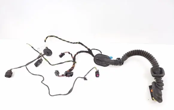 Porsche Cayenne (92A) Other wiring loom 7P5971694