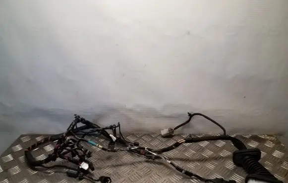 Front door wiring loom