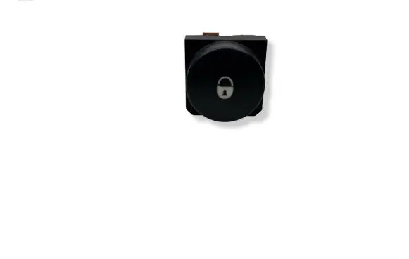 Central locking switch button