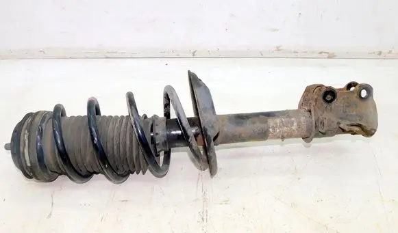 Fiat Grande Punto Front shock absorber with coil spring 188765