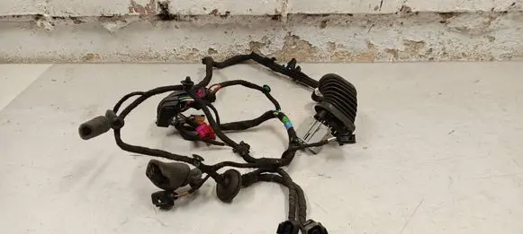 Bentley Flying Spur Rear door wiring loom 4W0971658B