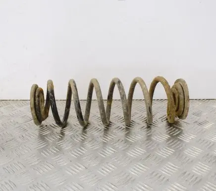Volkswagen PASSAT B7 Rear coil spring