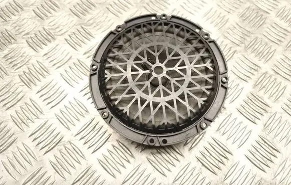 Citroen C5 Rear door speaker 