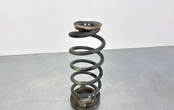 MG ZS Rear coil spring 50016285