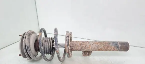 Front shock absorber with coil spring