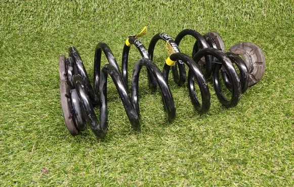 Rear coil spring