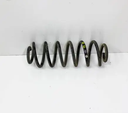 Rear coil spring
