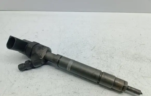 Mercedes-Benz S W220 Fuel injector A6130700587 0445110096