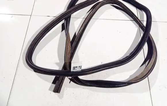Ford Focus Rubber seal front coupe door 