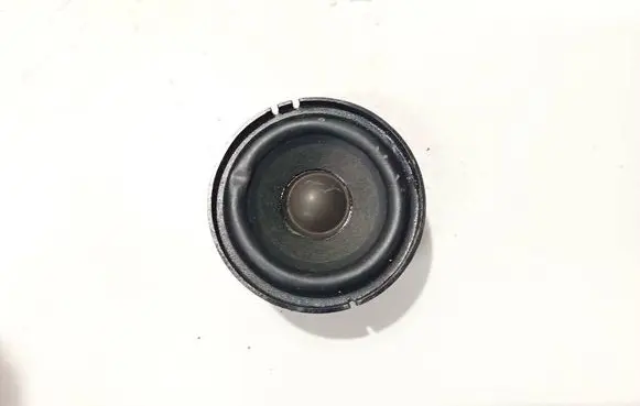 BMW X6 E71 Front door speaker 6513693865701