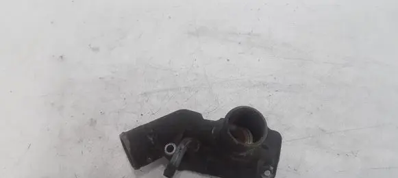 Thermostat/thermostat housing