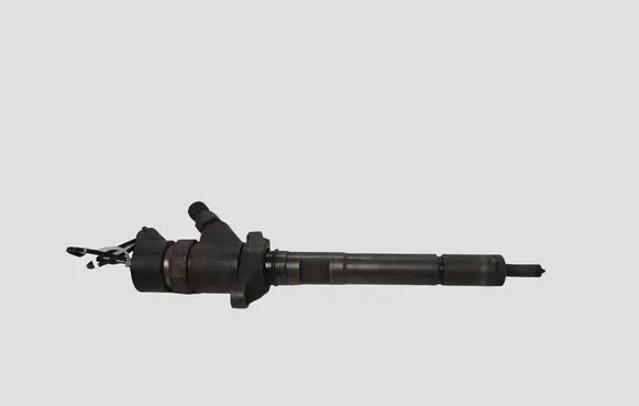 Citroen C4 I Fuel injector 0445110188