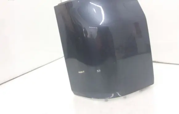Rear/tail light trim molding