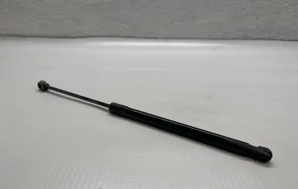 Tailgate strut