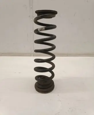 Opel Insignia B Rear coil spring
