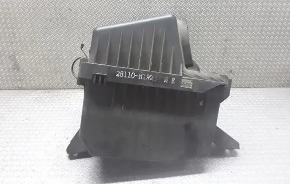 Hyundai Terracan Air filter box 28110H1920